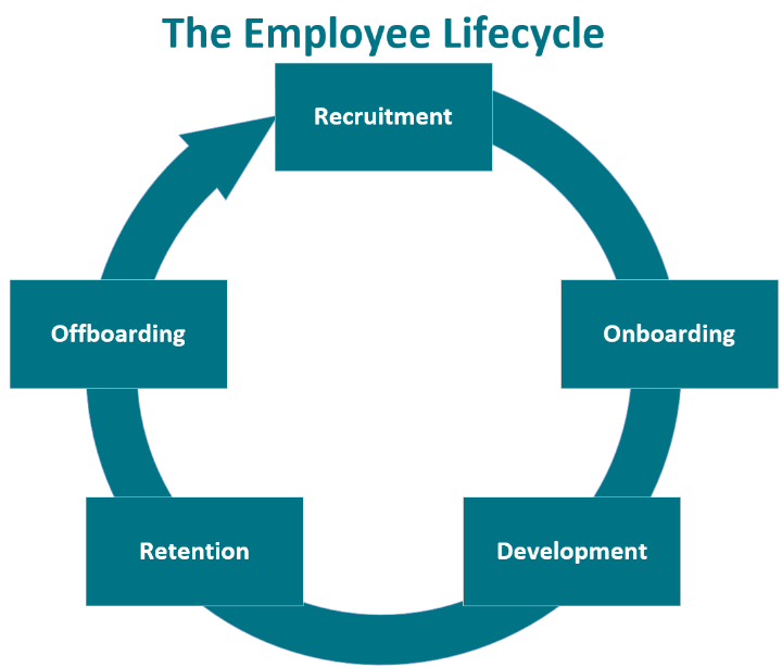 Image reflecting the different stages of the employee lifecycle